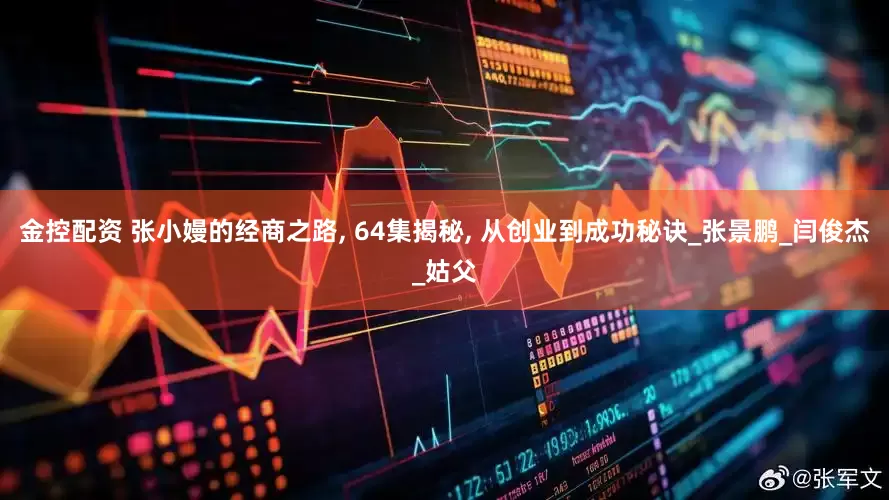 金控配资 张小嫚的经商之路, 64集揭秘, 从创业到成功秘诀_张景鹏_闫俊杰_姑父