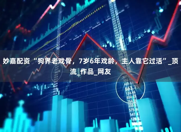 妙嘉配资 “狗界老戏骨，7岁6年戏龄，主人靠它过活”_顶流_作品_网友