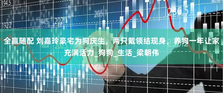 全赢随配 刘嘉玲豪宅为狗庆生，两只戴领结现身，养狗一年让家充满活力_狗狗_生活_梁朝伟
