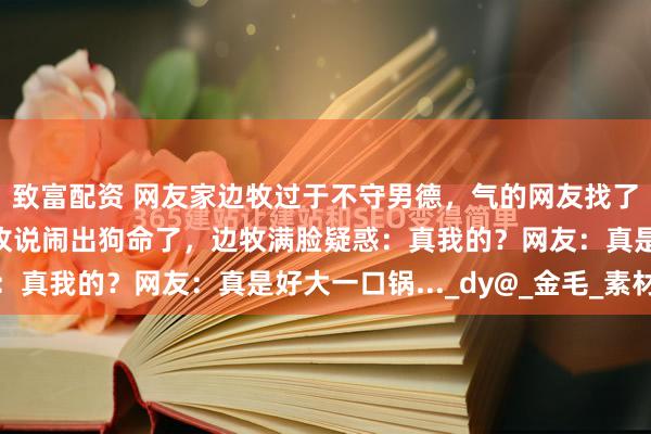 致富配资 网友家边牧过于不守男德，气的网友找了只黑白花小崽子和边牧说闹出狗命了，边牧满脸疑惑：真我的？网友：真是好大一口锅..._dy@_金毛_素材