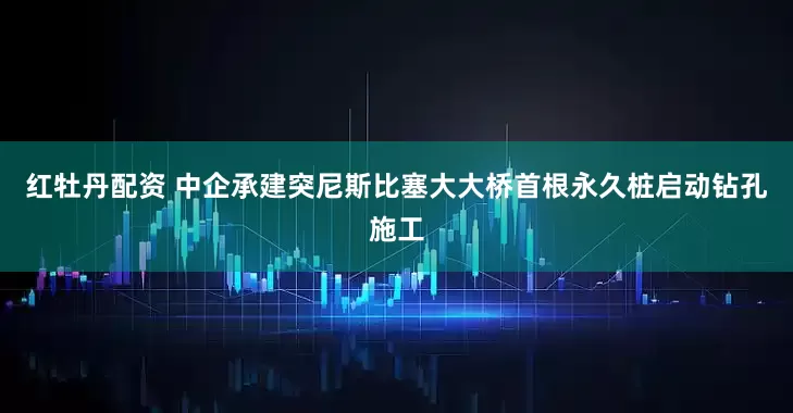 红牡丹配资 中企承建突尼斯比塞大大桥首根永久桩启动钻孔施工