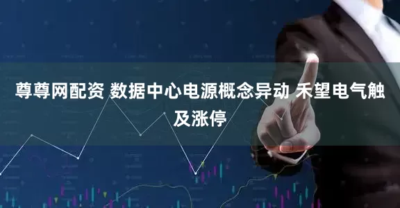 尊尊网配资 数据中心电源概念异动 禾望电气触及涨停