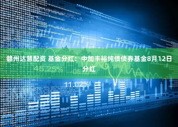 赣州达慧配资 基金分红：中加丰裕纯债债券基金8月12日分红