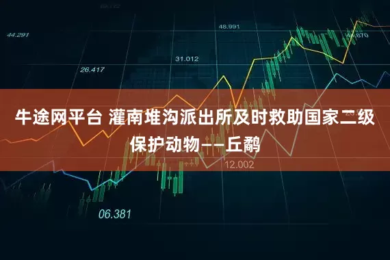 牛途网平台 灌南堆沟派出所及时救助国家二级保护动物——丘鹬