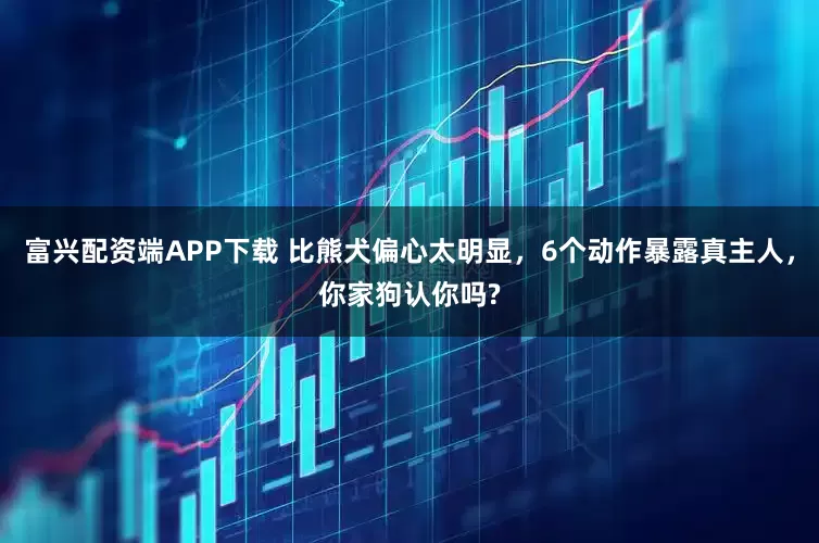 富兴配资端APP下载 比熊犬偏心太明显，6个动作暴露真主人，你家狗认你吗?