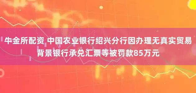 牛金所配资 中国农业银行绍兴分行因办理无真实贸易背景银行承兑汇票等被罚款85万元