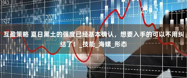 互盈策略 夏日黑土的强度已经基本确认，想要入手的可以不用纠结了！_技能_海螺_形态